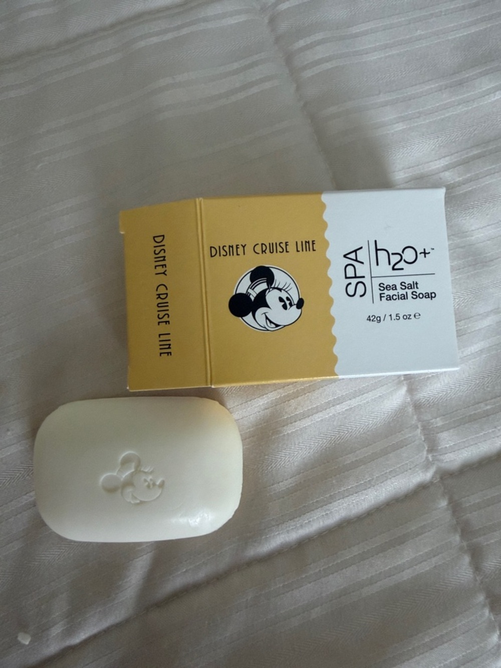 H2O+ Spa Sea Salt Facial Soap - White